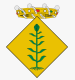 Escut de: Canyelles