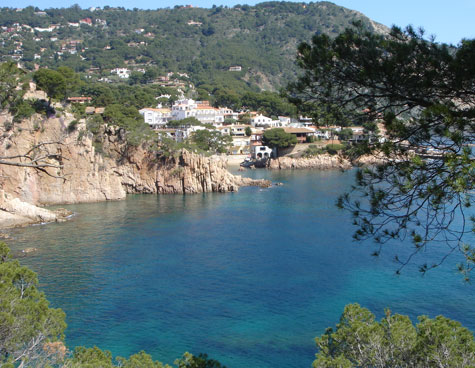 logo de Cala Fornells